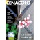 IL CENACOLO 3-2015